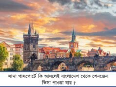 Can a Bangladeshi applicant really get a SCHENGEN visa without any prior travel history in 2025? Can a Bangladeshi applicant really get a SCHENGEN visa without any prior travel history in 2025 ?